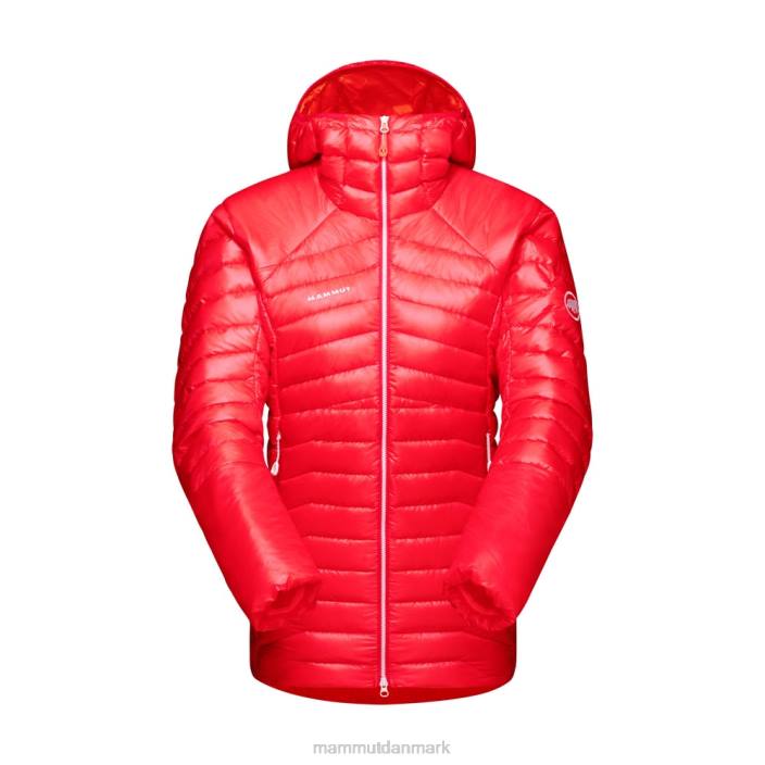 Mammut Kvinder eigerjoch avanceret i hættejakke azalea 2TDP715