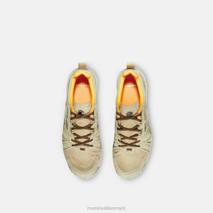 Mammut Mænd saentis lav gtx safari-sort 2TDP1232