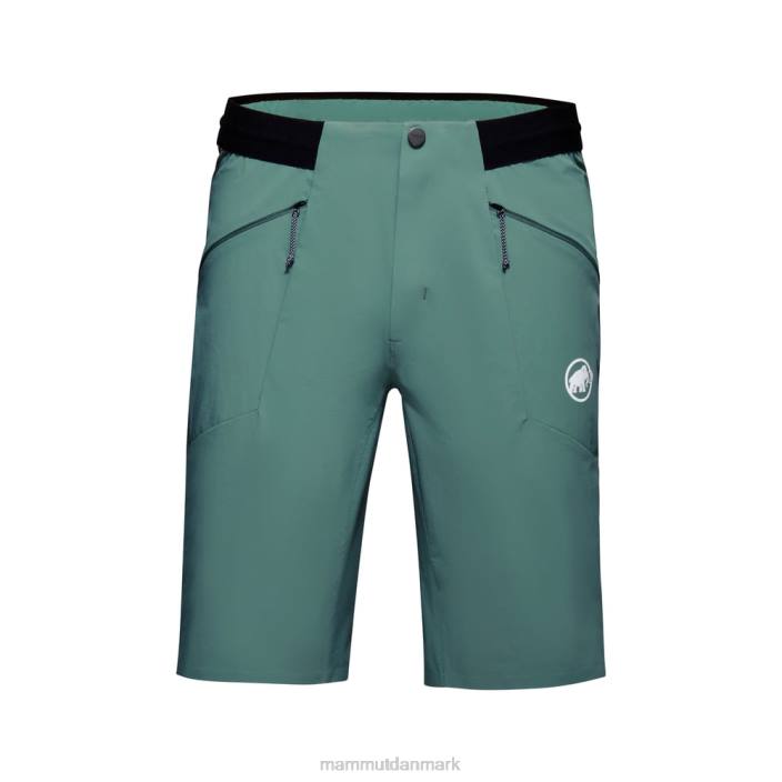 Mammut Mænd aenergy light så shorts mørk jade 2TDP1043