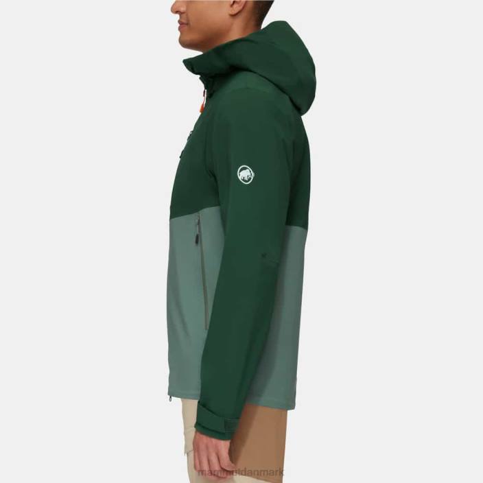 Mammut Mænd alto guide hs hættejakke mørke jade-træer 2TDP698