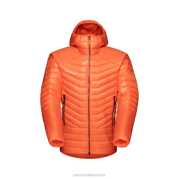 Mammut Mænd eigerjoch avanceret i hættejakke arumita 2TDP764