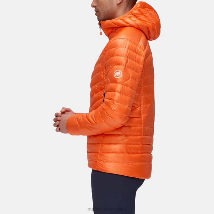 Mammut Mænd eigerjoch avanceret i hættejakke arumita 2TDP764