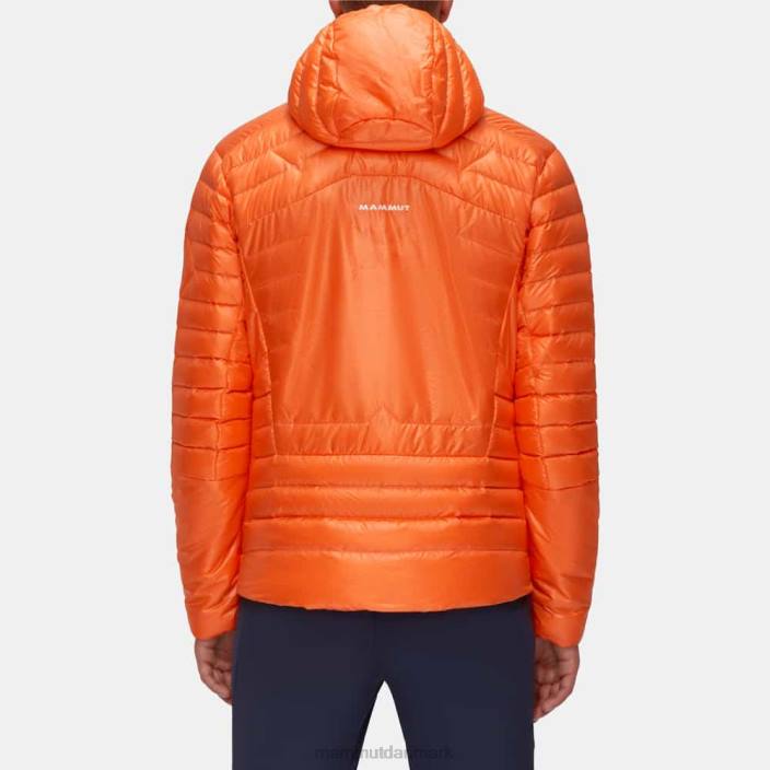 Mammut Mænd eigerjoch avanceret i hættejakke arumita 2TDP764
