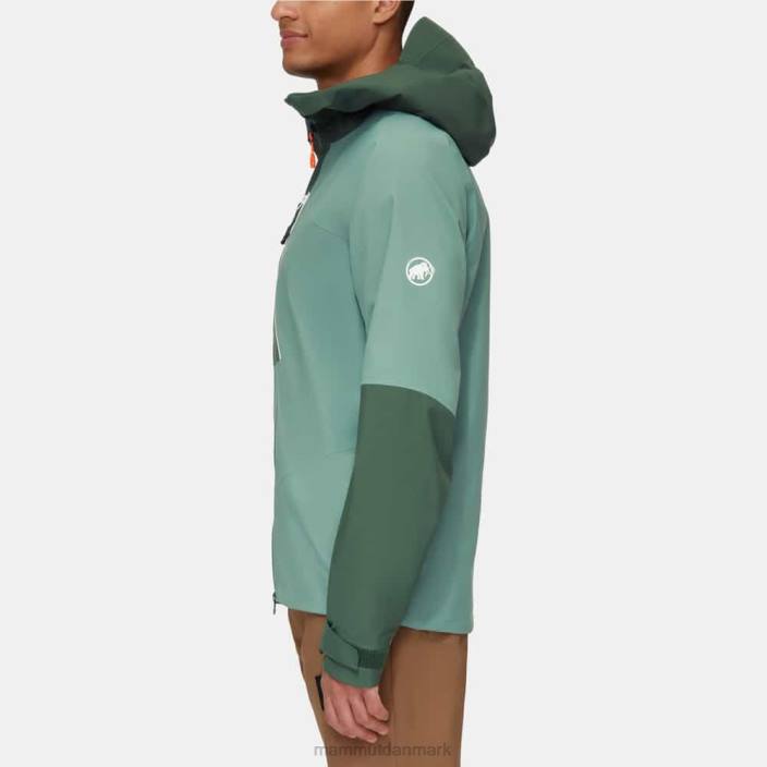 Mammut Mænd taiss hs hættejakke mørke jade-træer 2TDP693