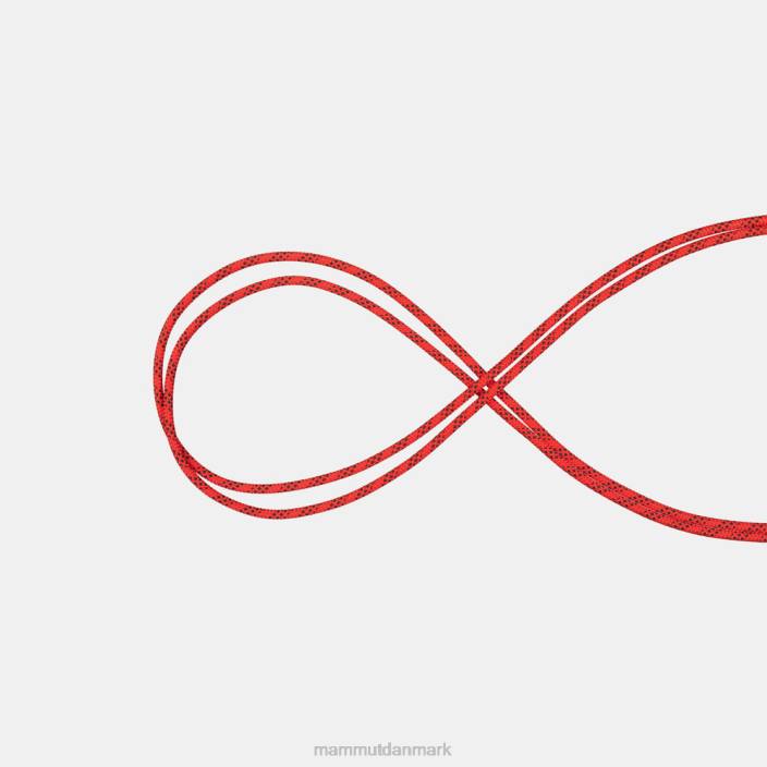 Mammut unisex 10,5 statisk ydeevne rød-sort 2TDP1427